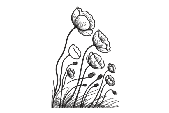 Download Poppy Field Sketch – Blackwork - Blackwork Collection